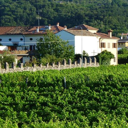 Agriturismo Grillo Iole Winery Prepotto  Zewnętrze zdjęcie