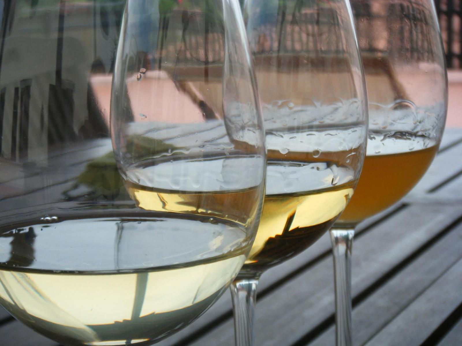 Agriturismo Grillo Iole Winery Prepotto  Zewnętrze zdjęcie